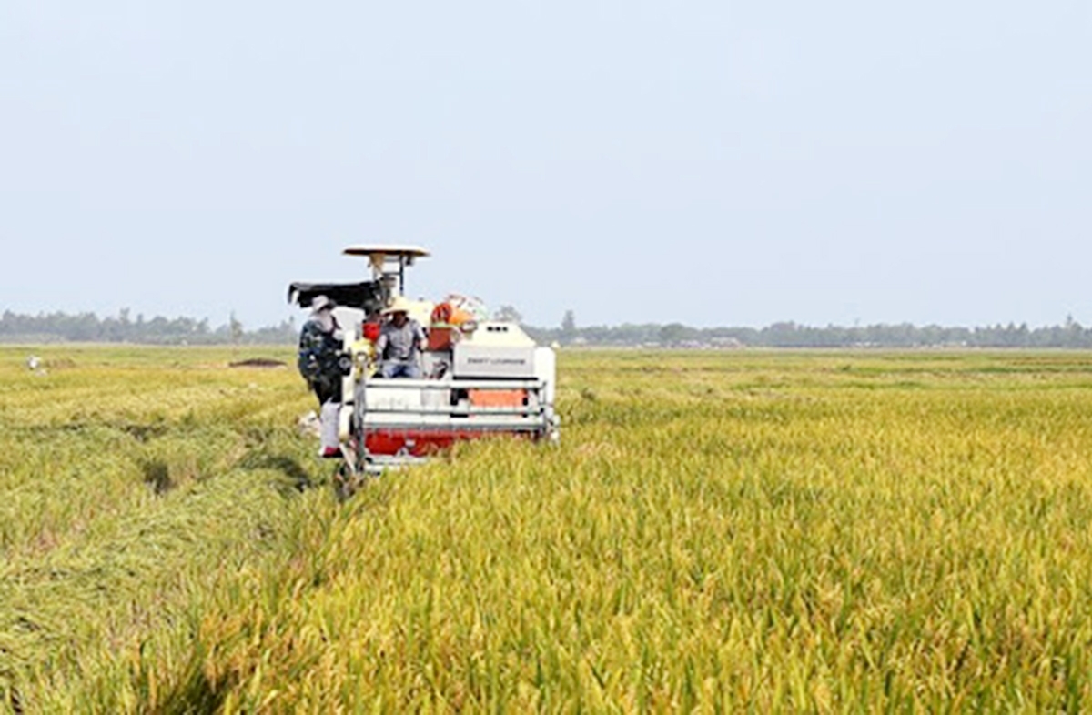 Thanh Ba đang xây dựng thành công nhiều mô hình sản xuất hàng hóa, giá trị cao trong quá trình xây dựng nông thôn mới (Ảnh TL).