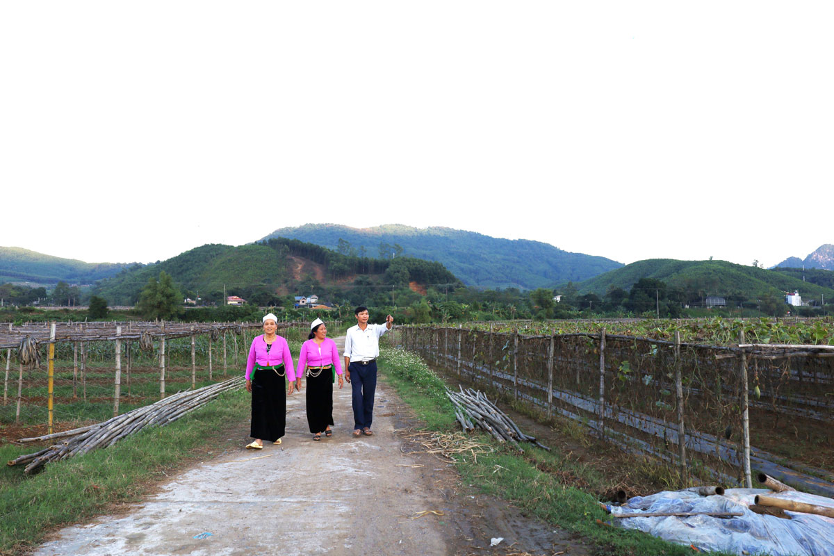 Hạ tầng giao thông được hoàn thiện giúp hoạt động sản xuất của người dân tộc thiểu số huyện Kim Bôi thêm thuận lợi.