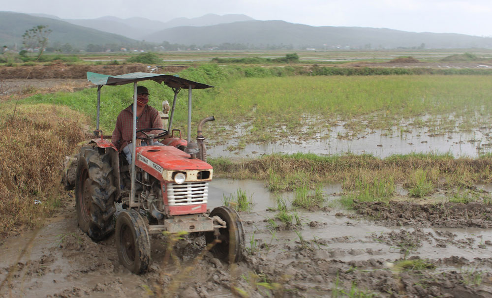 Dịch vụ phục vụ sản xuất nông nghiệp của HTX nông nghiệp và kinh doanh dịch vụ Hòa Mỹ Tây (Ảnh: TL)