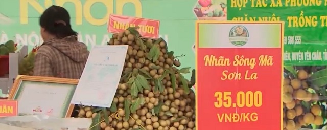 HTX không ngừng nâng cao chất lượng sản phẩm để có thể tự tin tham gia các chương trình XTTM.