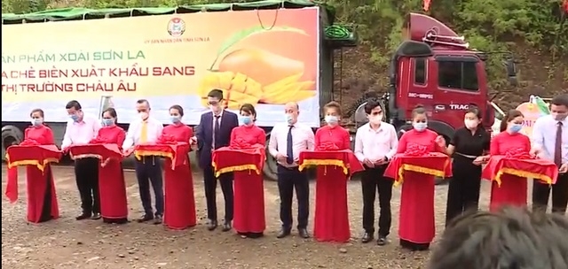 Những lô hàng xuất khẩu sang Châu Âu đang là động lực nâng cao hiệu quả của HTX.