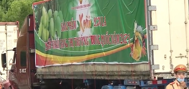 Cùng với việc tiêu thụ trong nước, các HTX đang tích cực hướng tới thị trường nước ngoài.