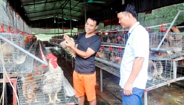 HTX Tuyền Hiền sản xuất thành công nhờ tham gia các lớp đào tạo nghề nông nghiệp.