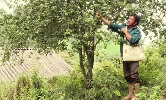 Tham gia HTX đã giúp nhiều thành viên là đồng bào DTTS vươn lên làm giàu.