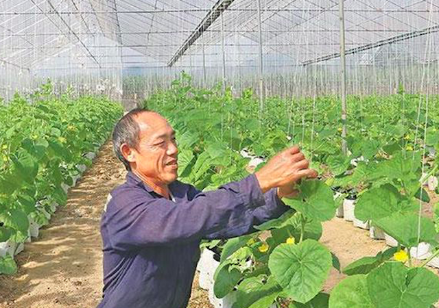 Đổi mới, nâng cao hiệu quả hoạt động sản xuất, kinh doanh của các HTX gắn với chuỗi giá trị sản phẩm.