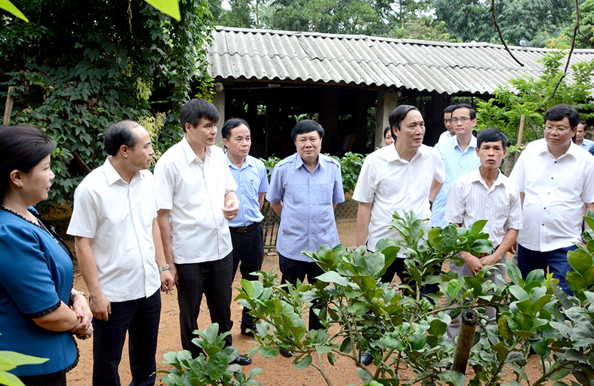 Công tác dạy nghề cho lao động nông thôn sẽ tiếp tục được huyện đẩy mạnh (Ảnh TL).