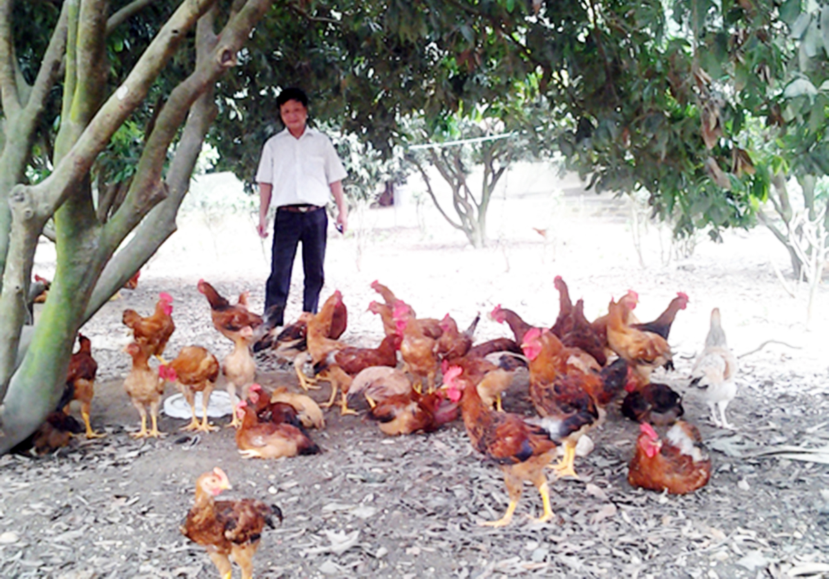 Được học nghề giúp nông dân tự tin khởi nghiệp, xây dựng mô hình kinh tế hiệu quả (Ảnh TL).