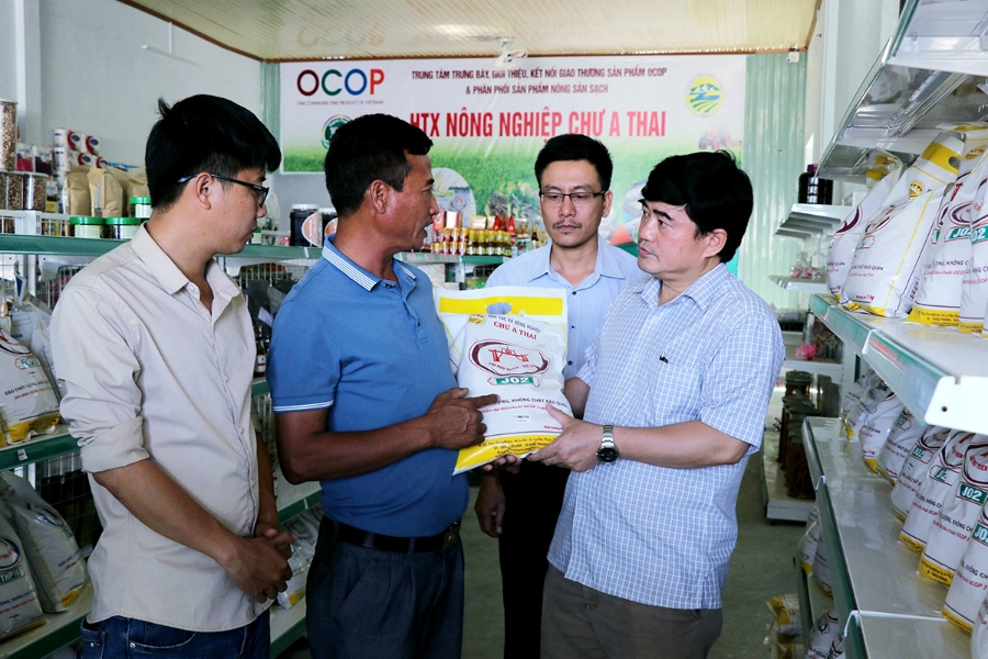 Sản phẩm gạo Phú Thiện được người tiêu dùng ưa chuộng.