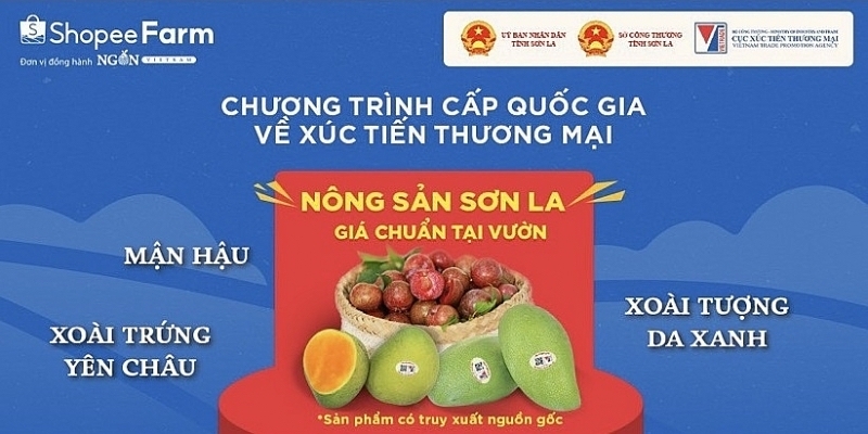 Sàn thương mại điện tử đang là kênh quảng bá hữu ích cho sản phẩm của các HTX ở Sơn La. (Ảnh Int).
