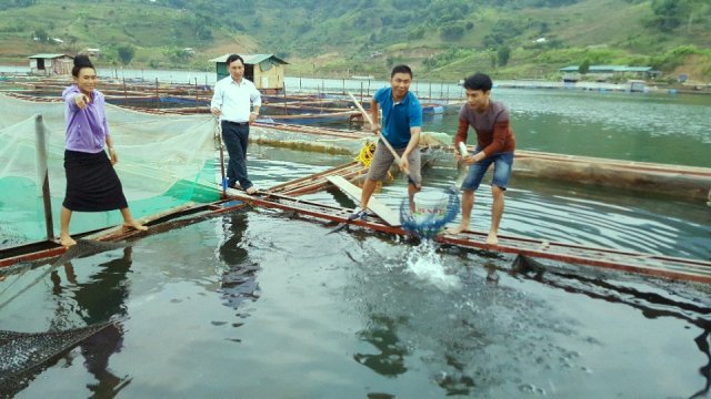 Nuôi cá trên lòng hồ thủy điện Sơn La của HTX thủy sản Chiềng Khoang tạo cơ hội để người dân địa phương từng bước vươn lên thoát nghèo.