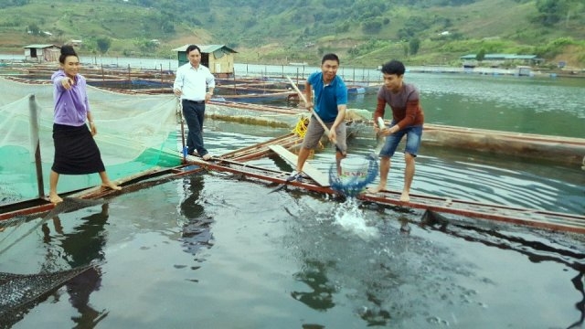 Nuôi cá trên lòng hồ thủy điện Sơn La của HTX thủy sản Chiềng Khoang tạo cơ hội để người dân địa phương từng bước vươn lên thoát nghèo.