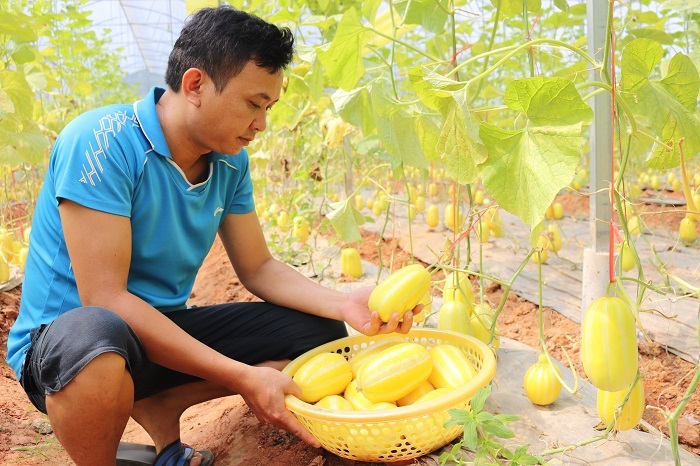 Mô hình sản xuất của HTX Gia Phú là điển hình trong tái cơ cấu nông nghiệp song hành với xây dựng nông thôn mới.