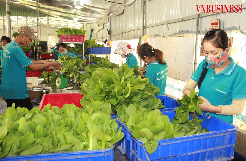 Để tháo “nút thắt” về mặt góp vốn trong luật HTX năm 2012 thì cần bổ sung quy định “mức vốn góp tối thiểu của thành viên HTX, liên hiệp HTX”.