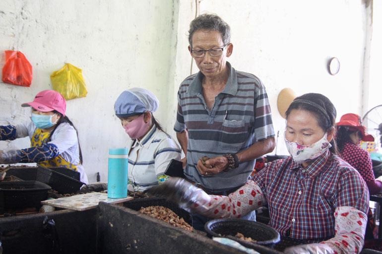 HTX Lê Gia tạo việc làm cho đồng bào dân tộc thiểu số nhờ phát triển nghề trồng và chế biến hạt điều.