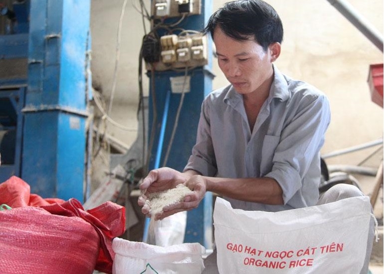 HTX Nông nghiệp & Dịch vụ tổng hợp Cát Tiên chú trọng sản xuất theo chuỗi nhằm nâng cao giá trị sản phẩm và thu nhập cho thành viên.