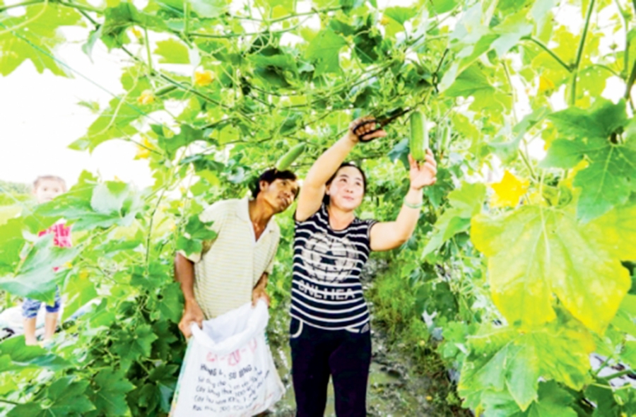 Các chính sách hỗ trợ phát triển sản xuất sẽ tiếp tục được huyện đẩy mạnh để nâng cao đời sống của người dân.