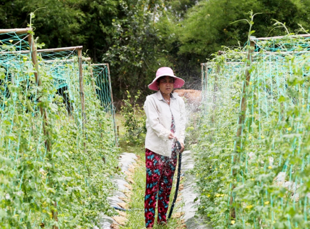 Cần thêm nhiều động lực cho các HTX phát triển, trở thành bệ đỡ kinh tế hộ.