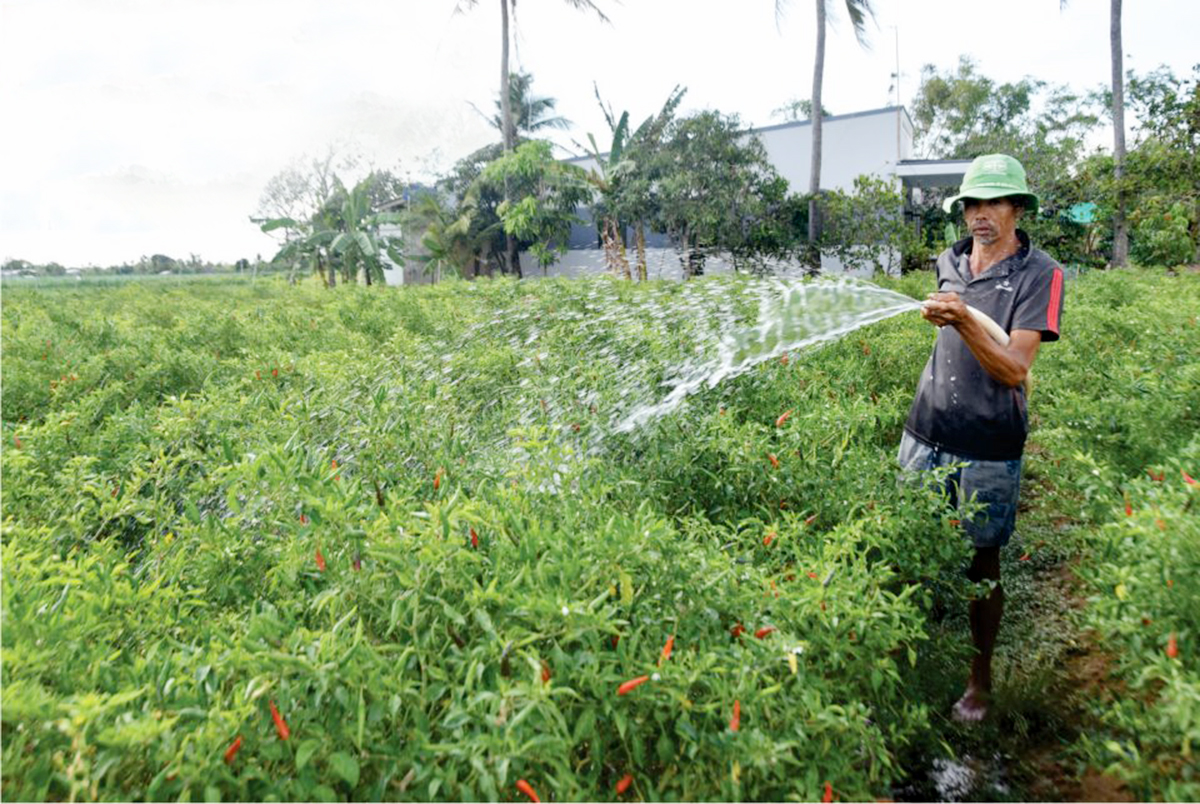 Cầu Ngang đang có những điều chỉnh phù hợp để thích ứng trong thời kỳ giãn cách do dịch Covid-19.
