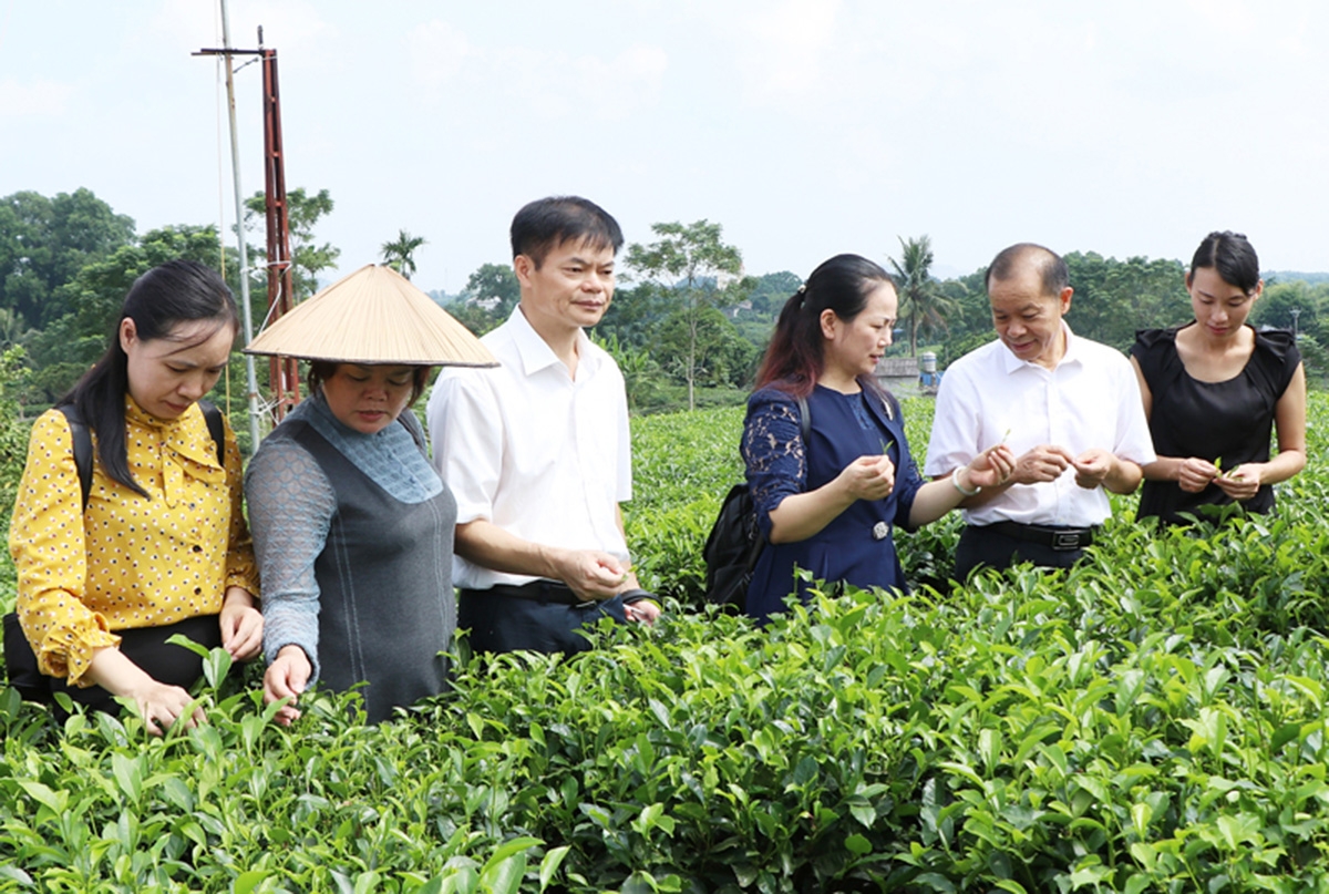 Các chương trình đào tạo nghề ở Định Hóa đang cho thấy hiệu quả tích cực (Ảnh TL).