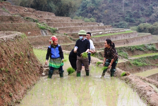 Tập trung các chính sách hỗ trợ đồng bào dân tộc thiểu số phát triển sản xuất.