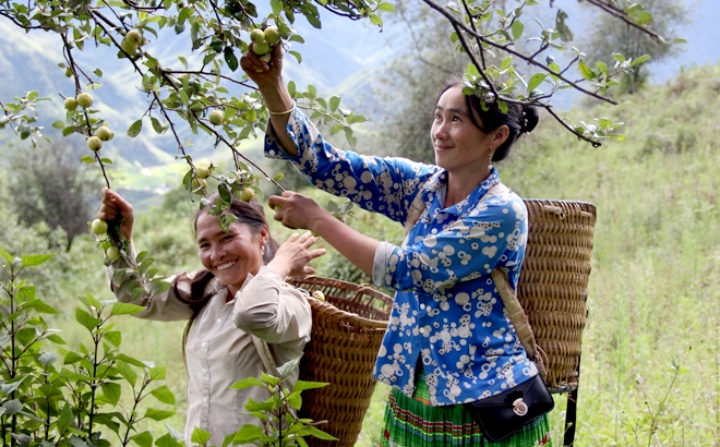 Xây dựng NTM gắn với phát triển sản xuất để nâng cao chất lượng cuộc sống của người dân.