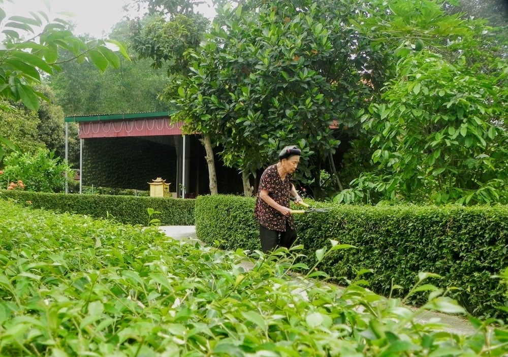 Cảnh quan nông thôn mới sáng xanh sạch đẹp.