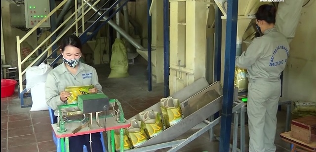 Thúc đẩy chuỗi liên kết trong sản xuất nông nghiệp được xem là giải pháp quan trọng để nâng cao giá trị sản phẩm.