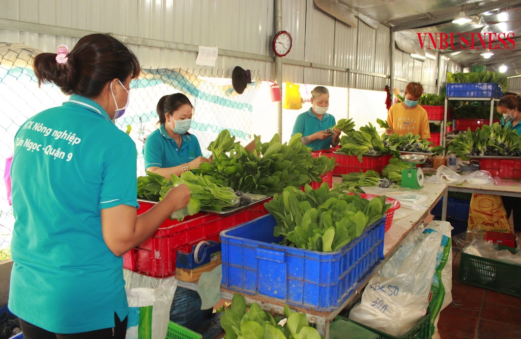 Nghị quyết số 105/NQ-CP được kỳ vọng sẽ tạo động lực phục hồi tốt cho khu vực kinh tế HTX trong giai đoạn đầy thách thức trước đại dịch Covid-19.