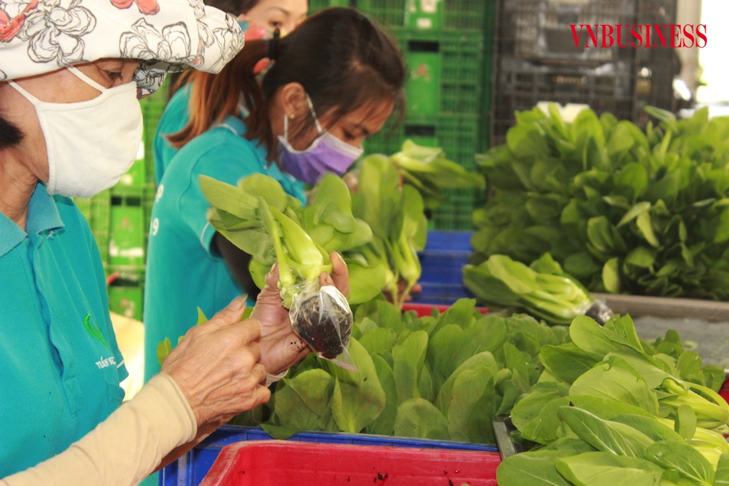 Trong Nghị quyết số 105/NQ-CP có nhiều nhiệm vụ, giải pháp để đảm bảo ổn định sản xuất cho các HTX nông nghiệp.