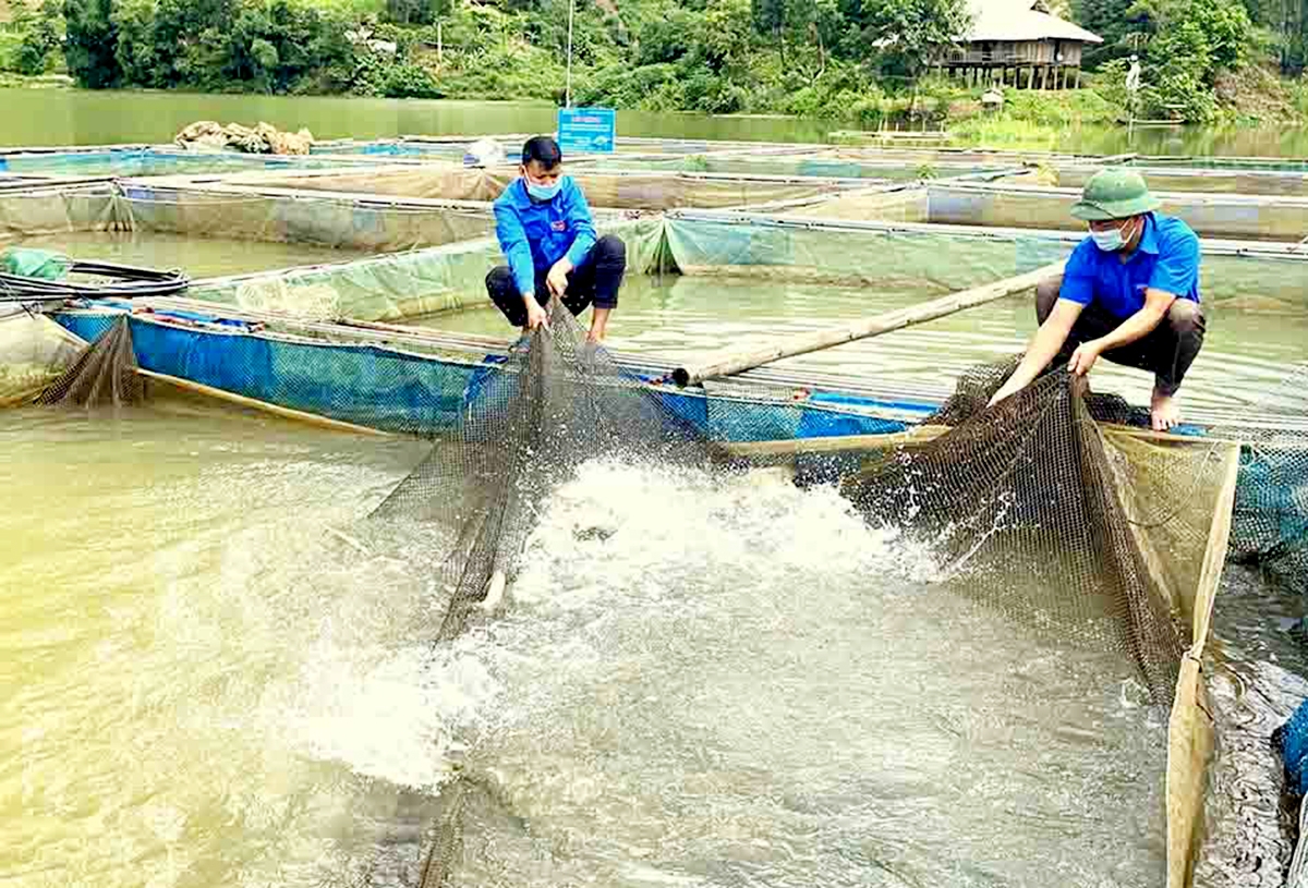 Nhiều thanh niên dân tộc thiểu số ở Than Uyên đang lựa chọn khởi nghiệp với mô hình HTX.