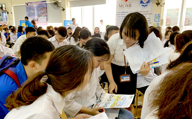 Công tác tư vấn hướng nghiệp có vai trò rất quan trọng trong đào tạo nghề.