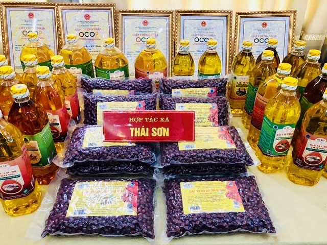 Các sản phẩm 3 sao của HTX Thái Sơn, huyện Lục Yên đã được tiêu thụ trên sàn thương mại điện tử và tại các siêu thị lớn trên cả nước