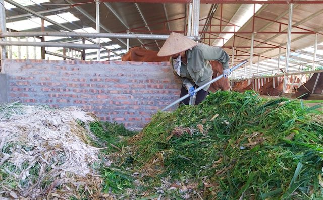 Các thành viên từ khi tham gia vào HTX đã có thu nhập ổn định, bình quân từ 6-7 triệu đồng/tháng.