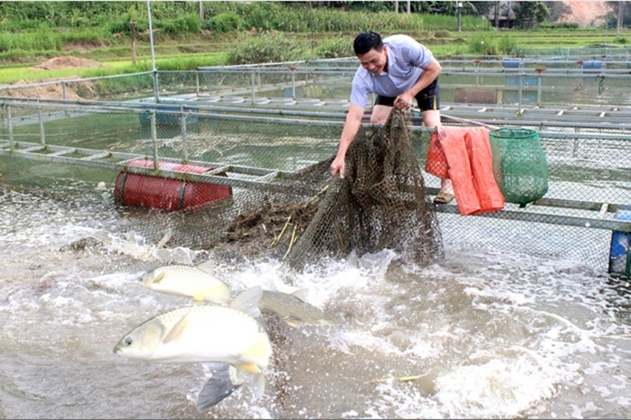 Cán bộ trẻ có trình độ, năng động tham gia sẽ giúp HTX nâng cao năng suất và chất lượng của thủy sản.