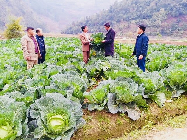 Liên minh HTX tỉnh Yên Bái thăm và làm việc với Hợp tác xã D&T, huyện Mù Cang Chải, năm 2019.