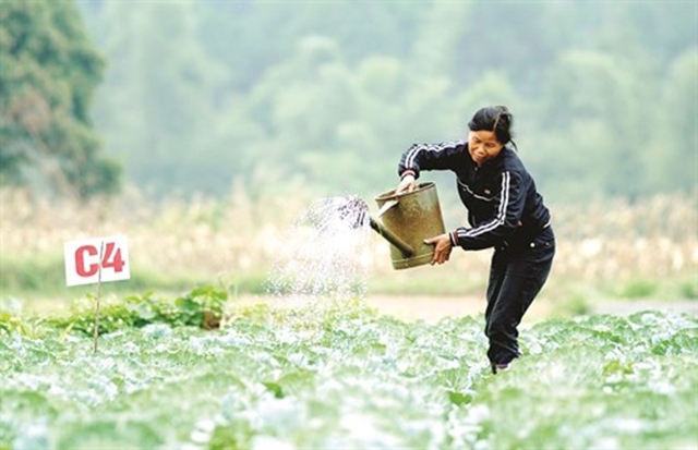 Cán bộ có trình độ, nhiệt huyết là điều kiện để các HTX trong vùng đồng bào dân tộc tỉnh Lạng Sơn bứt phá vươn lên.