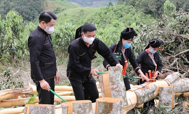 Với việc thành lập các HTX đã tạo ra vùng sản xuất tập trung theo hướng hữu cơ, an toàn bền vững. (Ảnh TL)