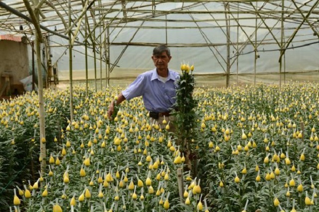 Sửa đổi Luật HTX phù hợp để tạo điều kiện cho HTX phát triển.