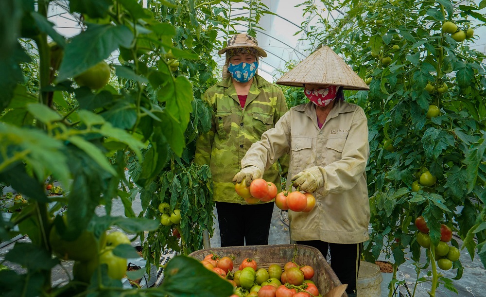 Đầu tư sản xuất công nghệ cao giúp bảo vệ môi trường sinh thái.