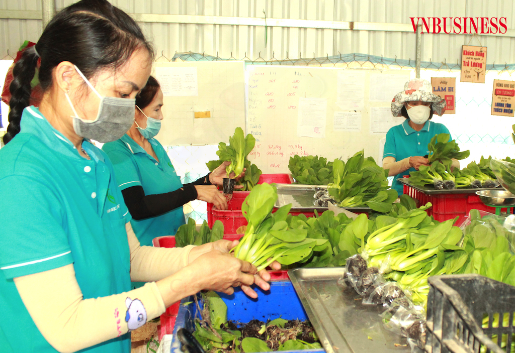 Trước tác động nặng nề của dịch Covid-19 với ngành hàng nông sản rất cần thêm chính sách hỗ trợ tiêu thụ.