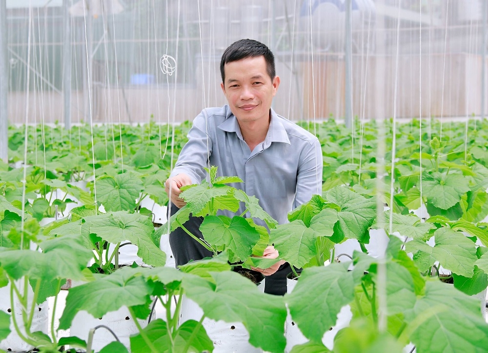 Nông nghiệp công nghệ cao là hướng sản xuất sạch, thân thiện với môi trường.