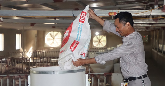 Ông Phạm Văn Cảnh, Giám đốc HTX Hợp Lực tại trang trại chăn nuôi lợn đầu tư khép kín hiện đại.