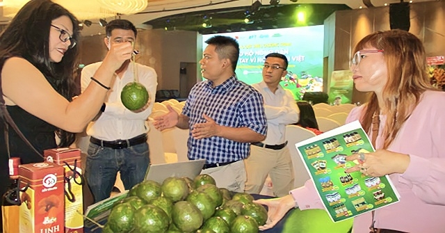 Chuẩn hóa theo hướng hữu cơ để đưa bơ vào “sân chơi” trái cây cao cấp.