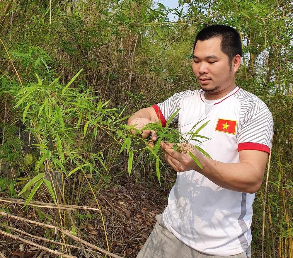 Thành viên HTX hướng dẫn cách chọn nguyên liệu phù hợp để phục vụ sản xuất ống hút tre.