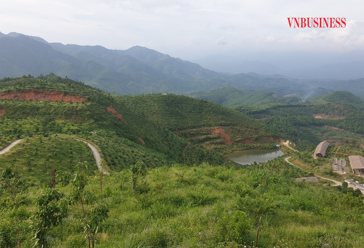 Sản xuất theo tiêu chuẩn VietGAP kết hợp với chế biến sâu và du lịch homestay giúp thành viên HTX Đông Yến nâng cao thu nhập.