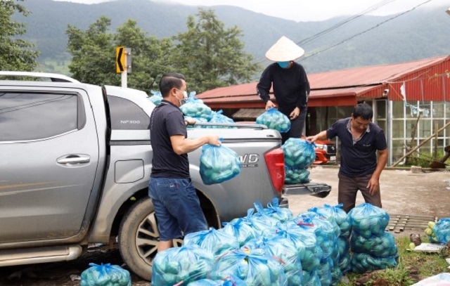 Thành viên HTX Hoa Đào chuẩn bị vận chuyển su su đi tiêu thụ.