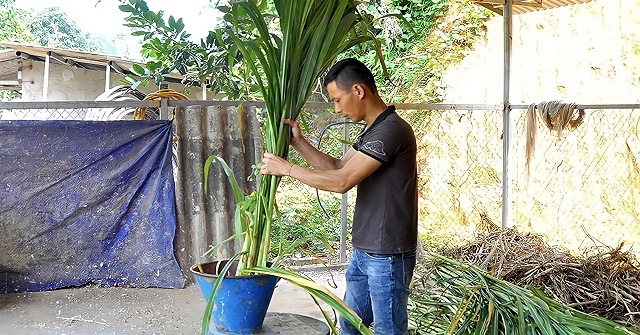 Giám đốc HTX Nguyễn Công Nghiệp thường xuyên tổ chức chia sẻ kinh nghiệm phòng, chống dịch bệnh, cách quản lý vật nuôi, liên kết, tìm đầu ra cho các thành viên.