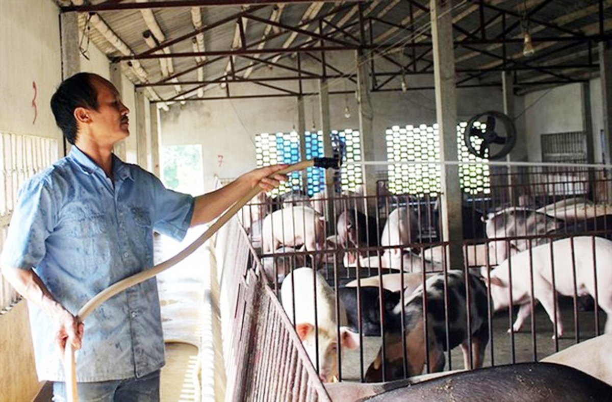 Trực Ninh đang đẩy mạnh tái cơ cấu cây trồng, vật nuôi theo hướng an toàn sinh thái (Ảnh TL).