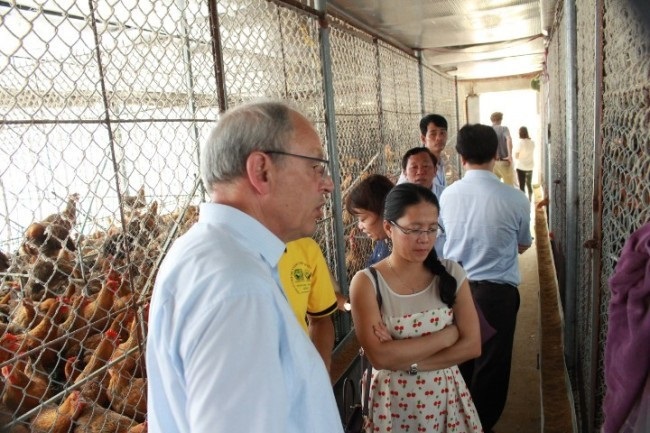 Mô hình chăn nuôi của HTX Gia Lương từng được đoàn chuyên gia Đức đến khảo sát.