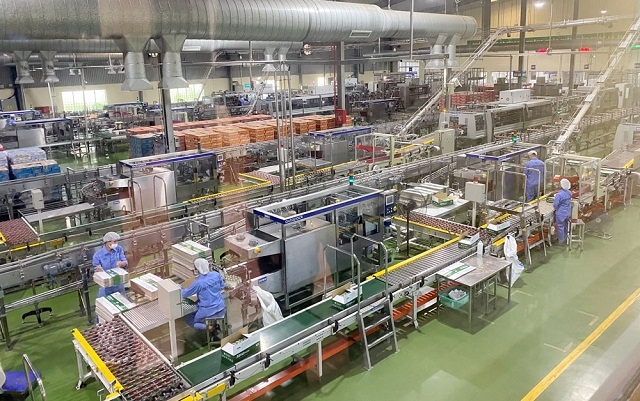 Các tỉnh, thành phố cần thành lập ban chỉ đạo phục hồi sản xuất tại khu công nghiệp, khu chế xuất. (Ảnh TL)